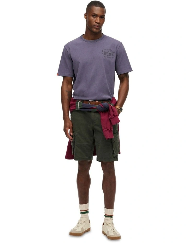 Athletic Essential Graphic Tee in Greystone image 2