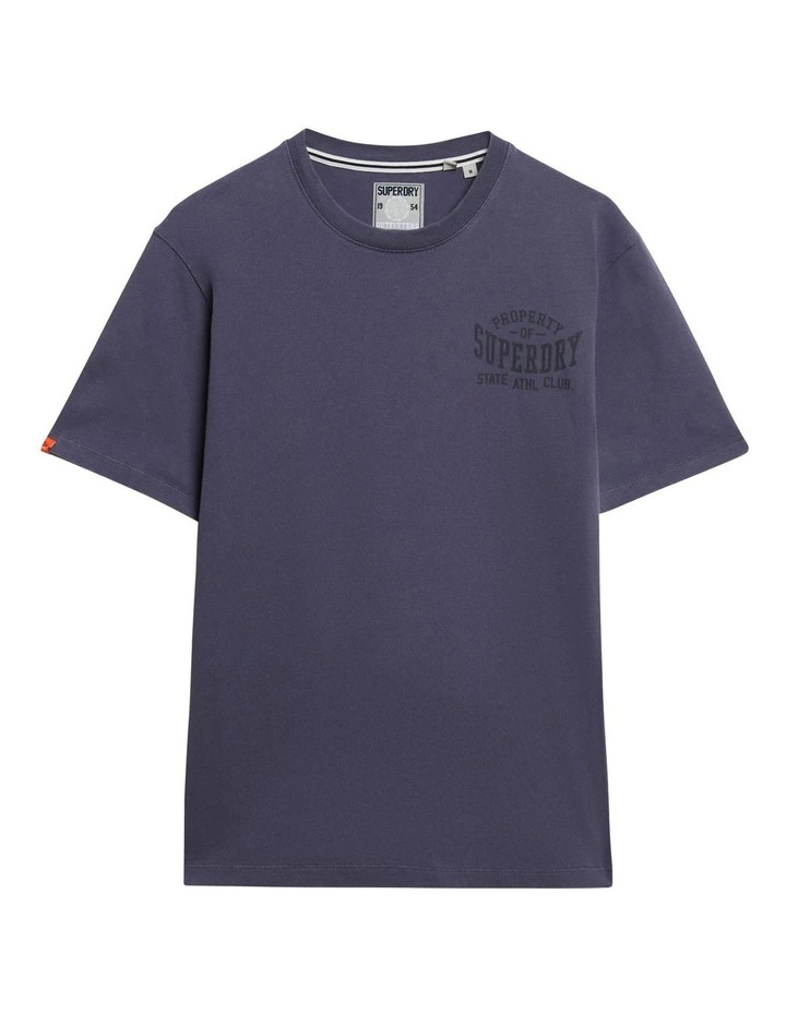 Athletic Essential Graphic Tee in Greystone image 4