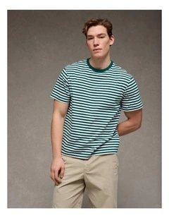 Standard Fit Lived-In T-Shirt in Green Stripe