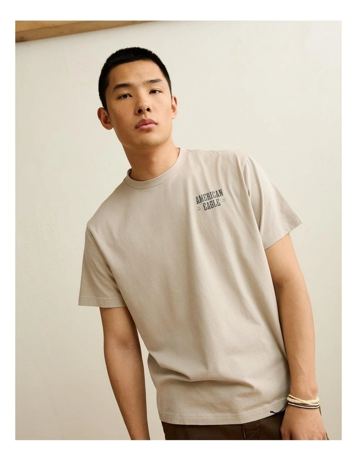 Standard Fit Graphic Logo T-Shirt in Taupe image 1