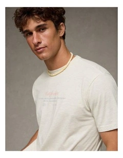 Standard Fit Destination Graphic T-Shirt in Heather Gray