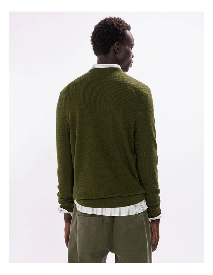 Gordon Textured Merino Knit in Agave Green image 4