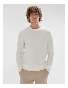 Gordon Textured Merino Knit in Ivory