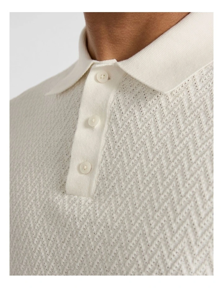 Alex Knit Polo in Oatmeal image 4