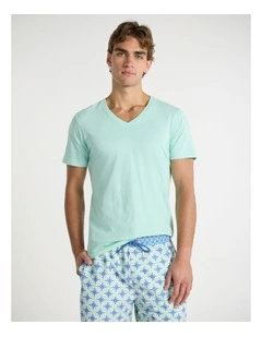 Marle Arnie V Neck Tee in Ice Green