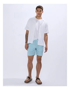 Brad Stripe Swim Short in Blue Stripe