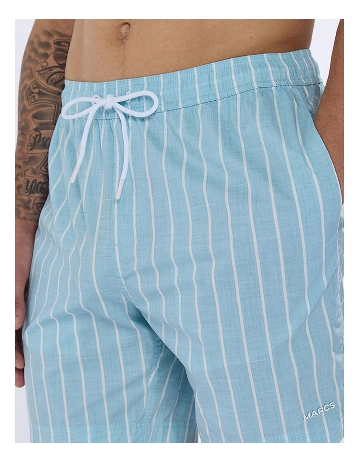 Brad Stripe Swim Short in Blue Stripe image 4