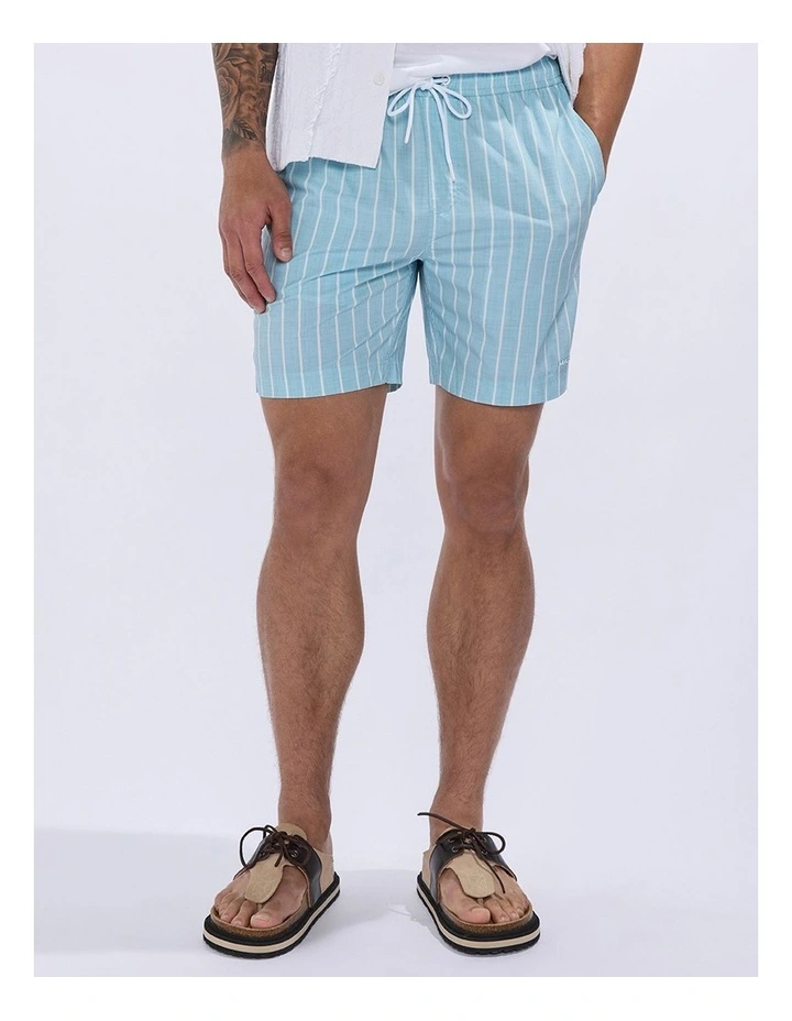 Brad Stripe Swim Short in Blue Stripe image 5