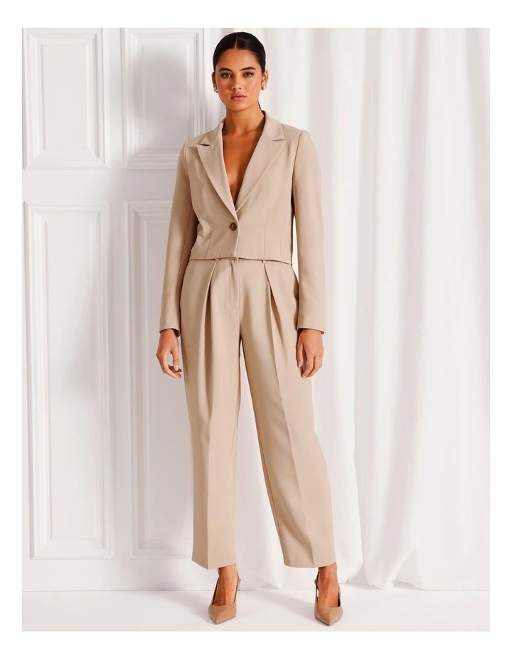 Pleat Front Tapered Pant in Stone image 3