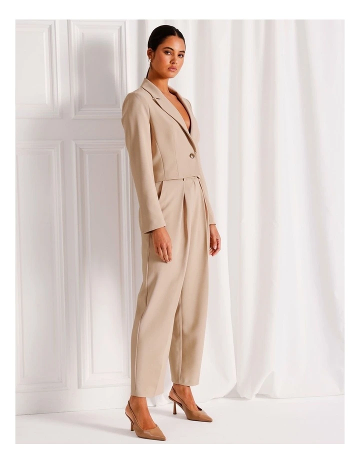 Pleat Front Tapered Pant in Stone image 4