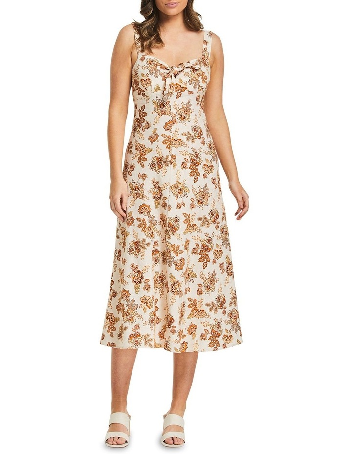 Earth Blooms Dress Multi