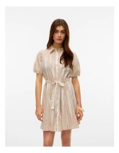 Dicthe Collared Mini Dress in Silver