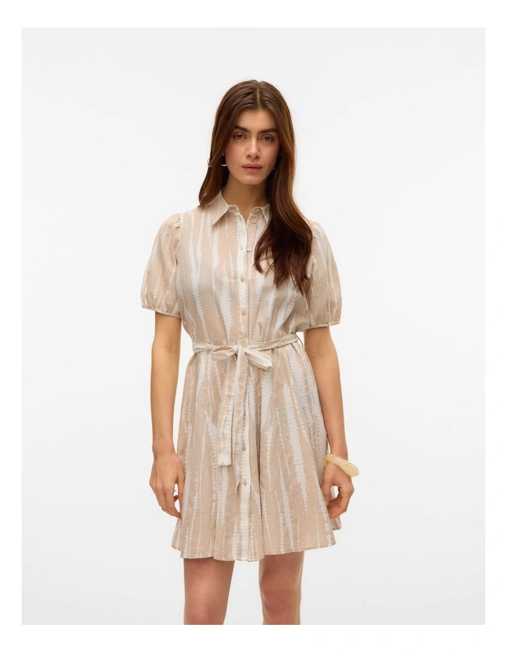 Dicthe Collared Mini Dress in Silver image 1
