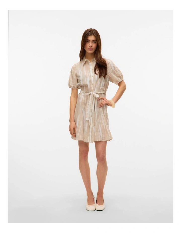Dicthe Collared Mini Dress in Silver image 3