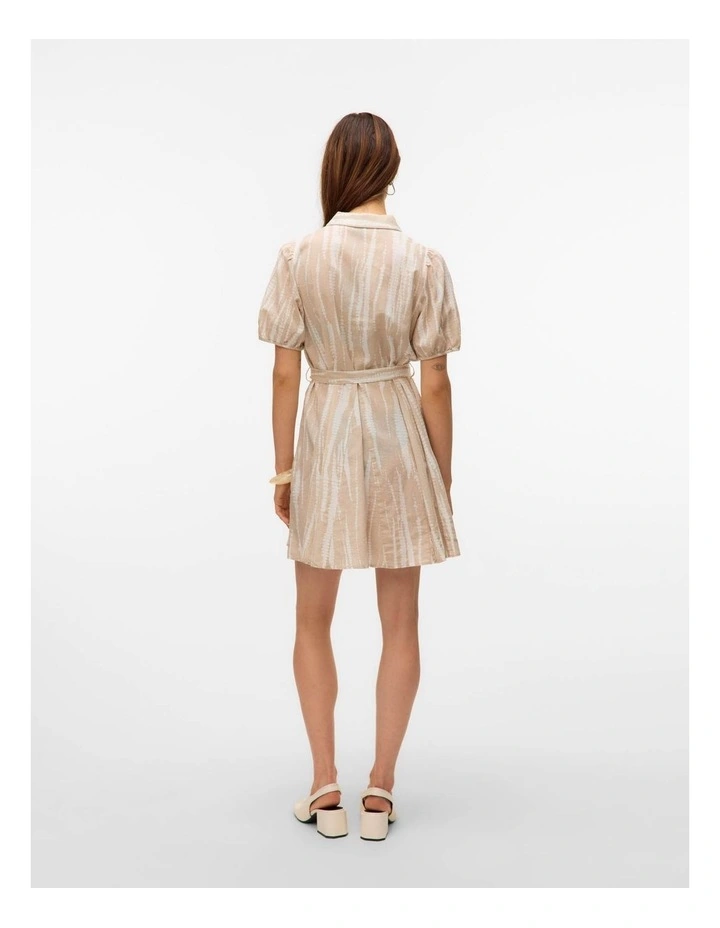Dicthe Collared Mini Dress in Silver image 4