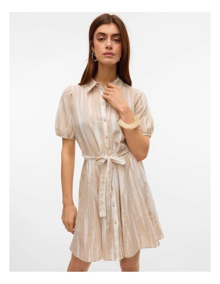 Dicthe Collared Mini Dress in Silver image 5