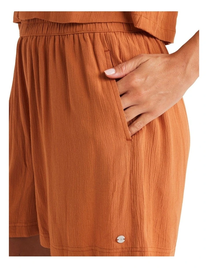 Sol Vibes Short in Brown image 4