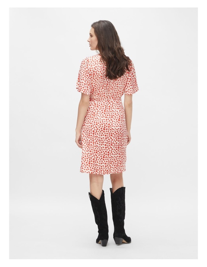 the aylin dress zara