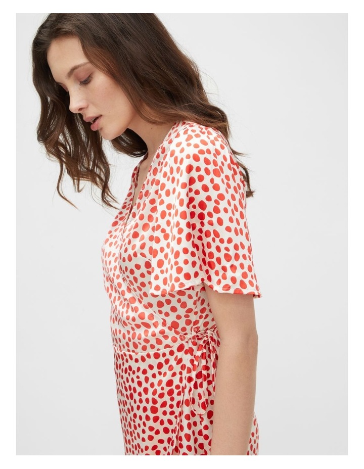 the aylin dress zara