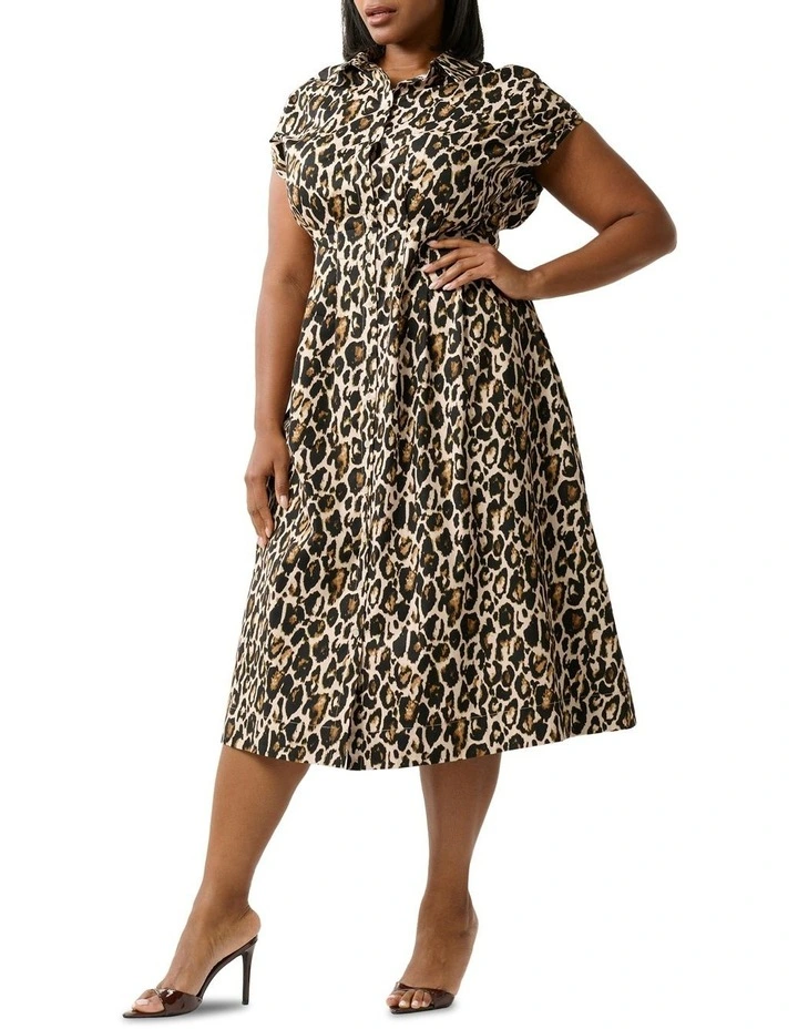 Leocara Dress in Multi image 4