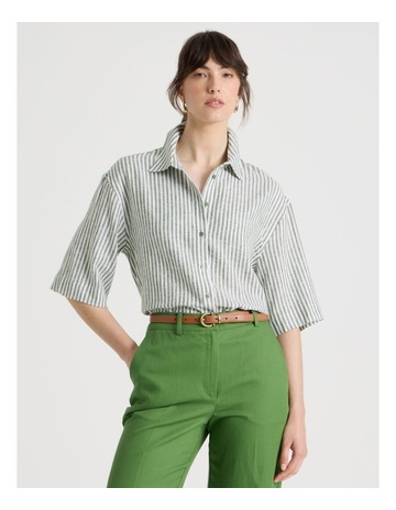 CACTUS STRIPE colour