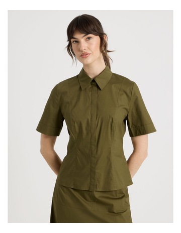 Olive colour