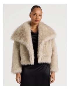 Fur Short Coat in Stone