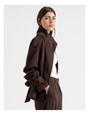Cocoa colour