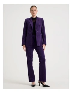 Velvet Mid Rise Flare Pant in Purple