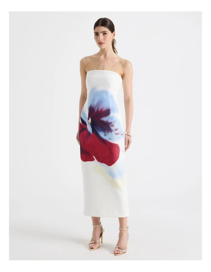 Orchid Strapless Column Maxi Dress in Ivory image 1
