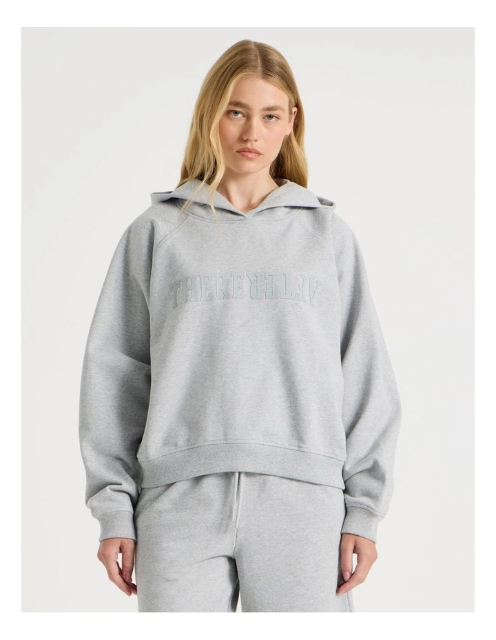 Raglan Hoodie in Grey Marle image 1