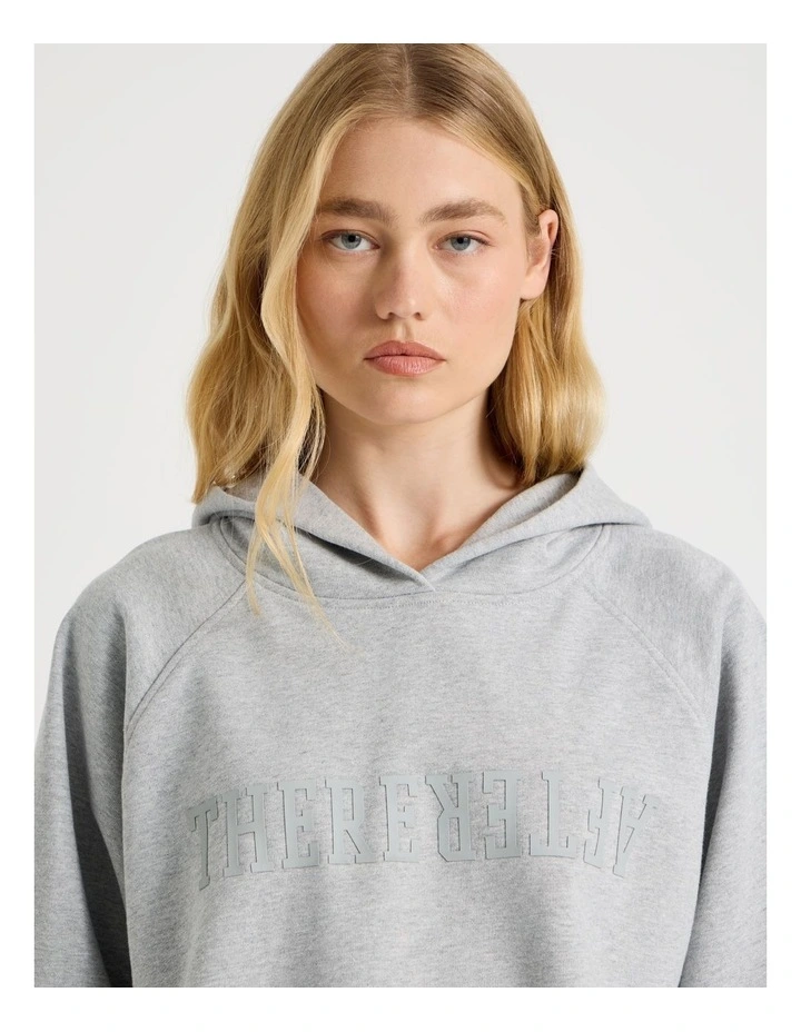 Raglan Hoodie in Grey Marle image 3