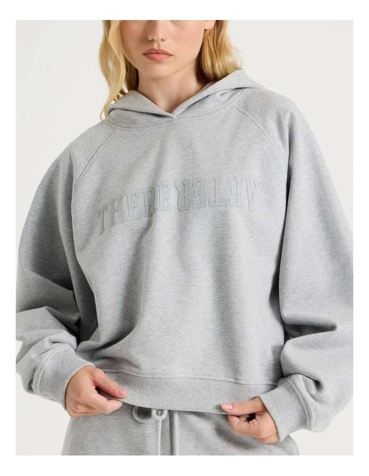 Raglan Hoodie in Grey Marle image 5