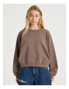 Crew Neck Raglan Jumper in Taupe