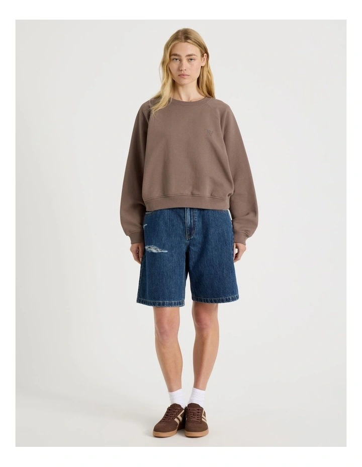 Crew Neck Raglan Jumper in Taupe image 3