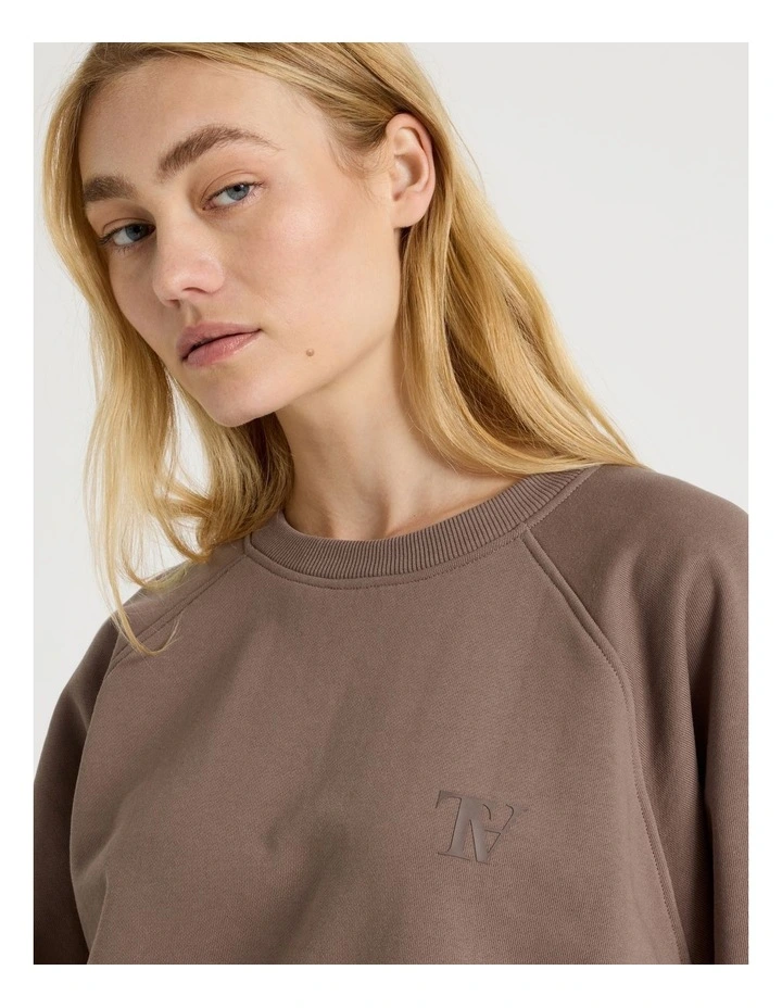 Crew Neck Raglan Jumper in Taupe image 4
