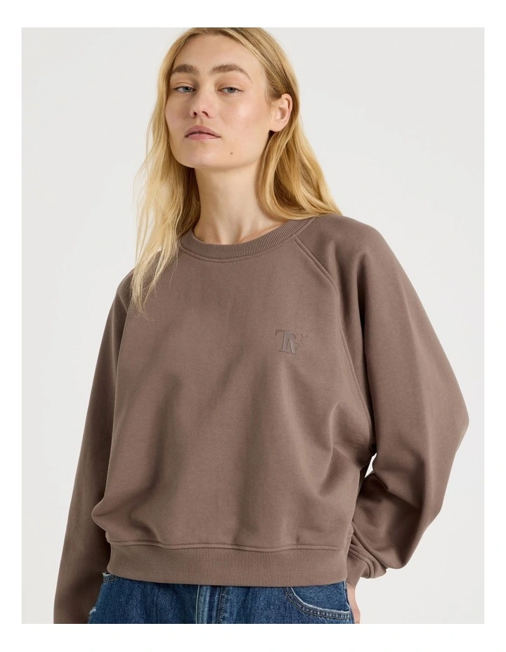 Crew Neck Raglan Jumper in Taupe image 5