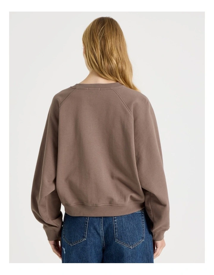 Crew Neck Raglan Jumper in Taupe image 6