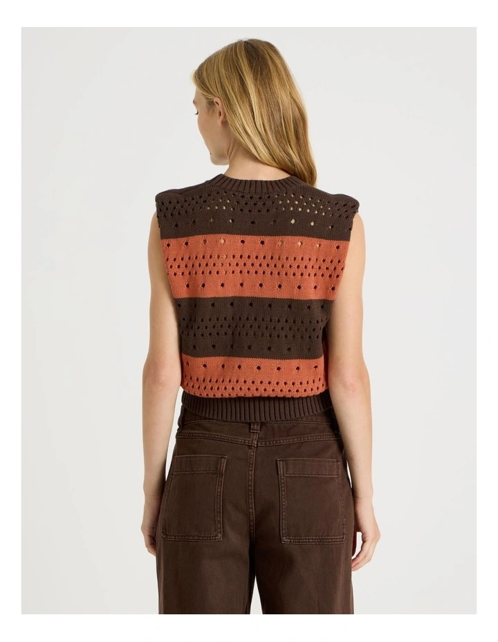 Stripe Knit Vest in Rust image 5