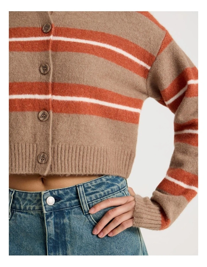 Stripe Cardigan in Brown image 4