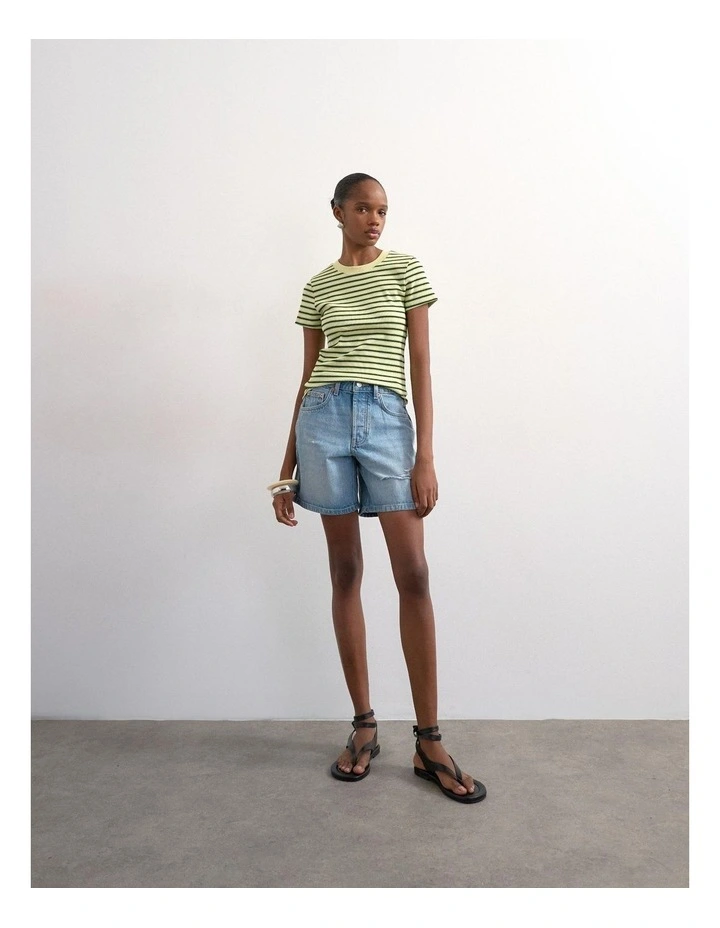 Sally Stripe Rib Short Tee in Green image 3