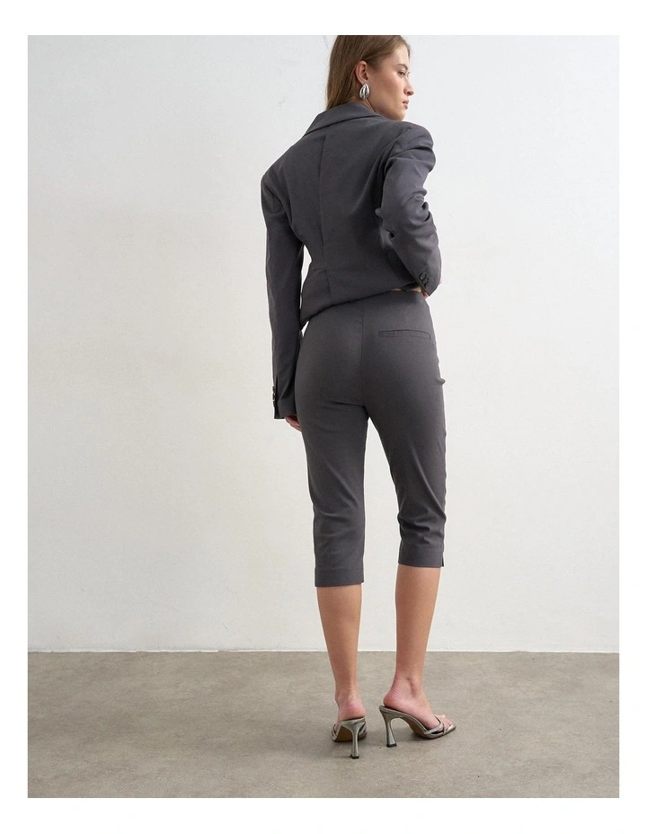 Cara Bengaline Capri in Grey image 4