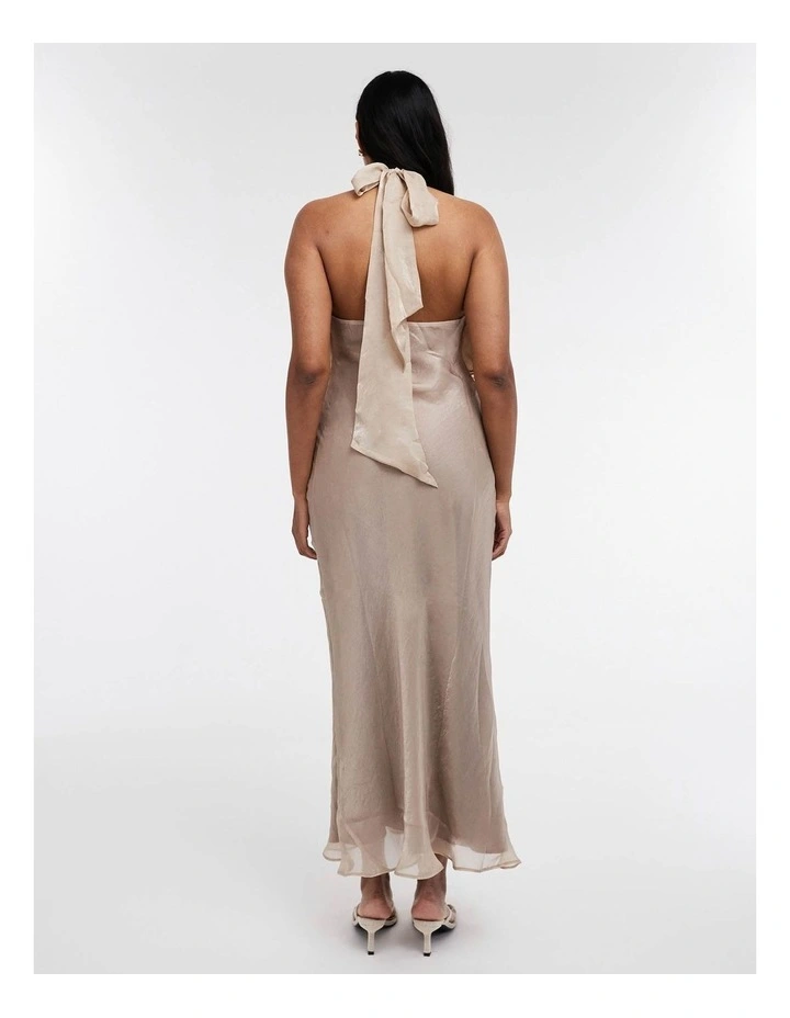 Tsliva Halterneck Maxi Dress in Brown image 2
