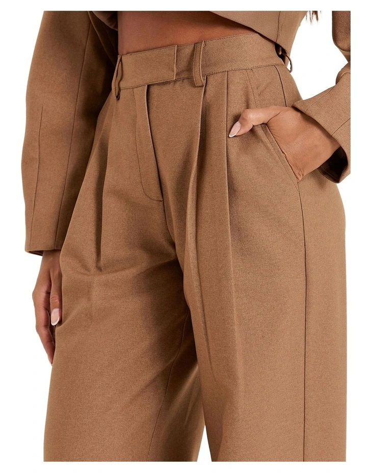Stanlie Trouser in Taupe image 3