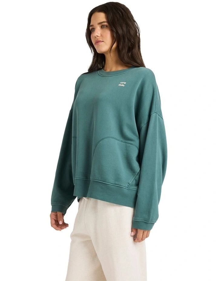 Don't Forget Pullover Crew Neck in Alpine image 3