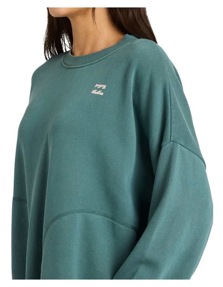Don't Forget Pullover Crew Neck in Alpine image 4