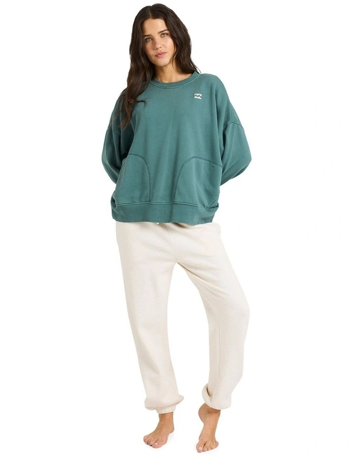 Don't Forget Pullover Crew Neck in Alpine image 5