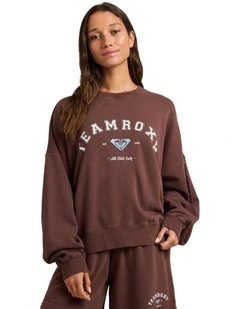 All Day Crew Neck Jumper in Brown
