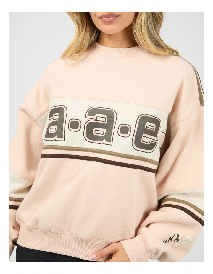 Wild Nation Box Crew Neck Sweat Top in Pink image 5