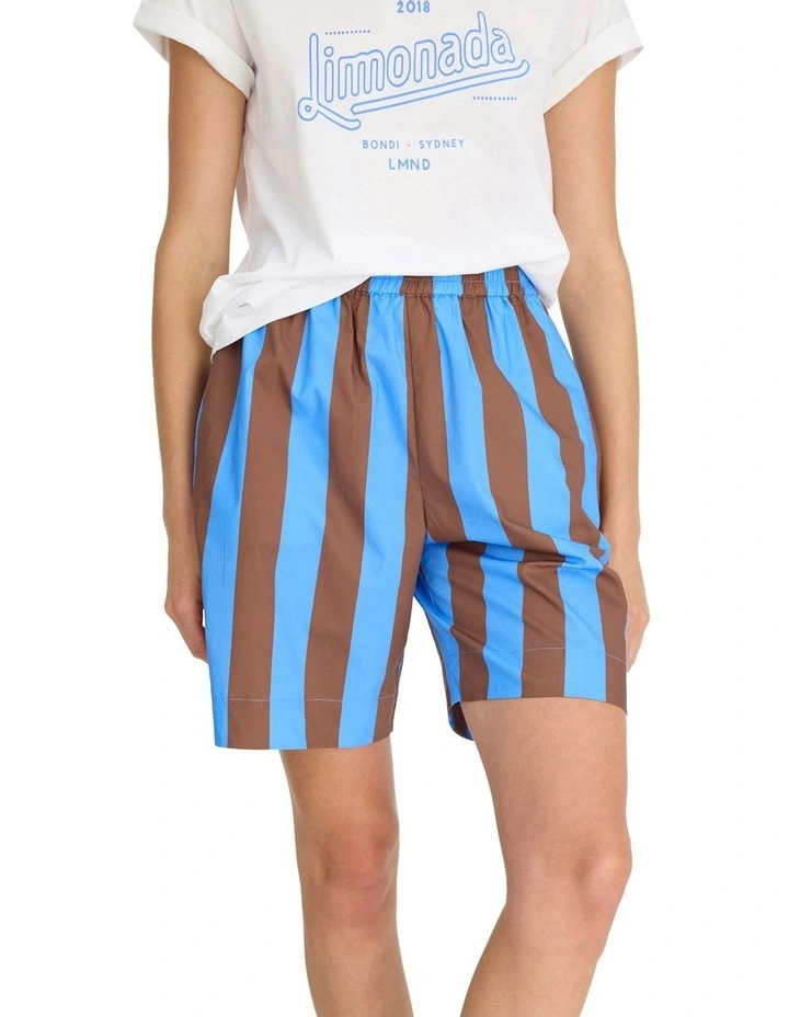 Chiara Mid-Length Stripe Shorts in Multi image 5